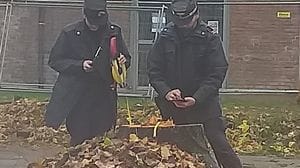 Officina di autoriparazioni e impianti di recupero bancali sequestrati alle porte di Lodi, recuperato anche un cane sofferente