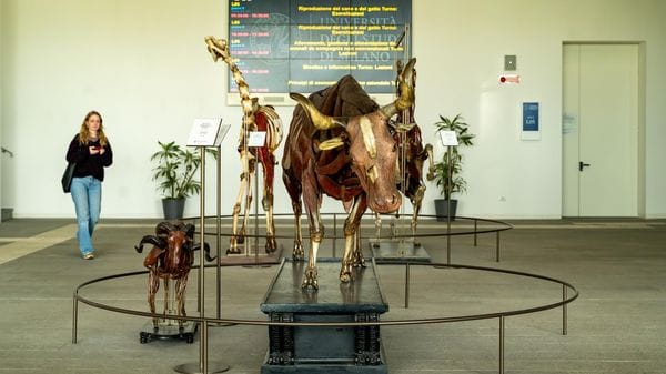 La serie che  racconta l’Università di Veterinaria. La prima puntata: 1300 tra studenti, docenti e tecnici da tutta Italia e dal mondo