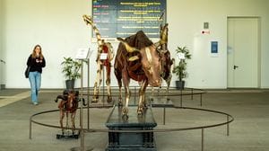 La serie che  racconta l’Università di Veterinaria. La prima puntata: 1300 tra studenti, docenti e tecnici da tutta Italia e dal mondo