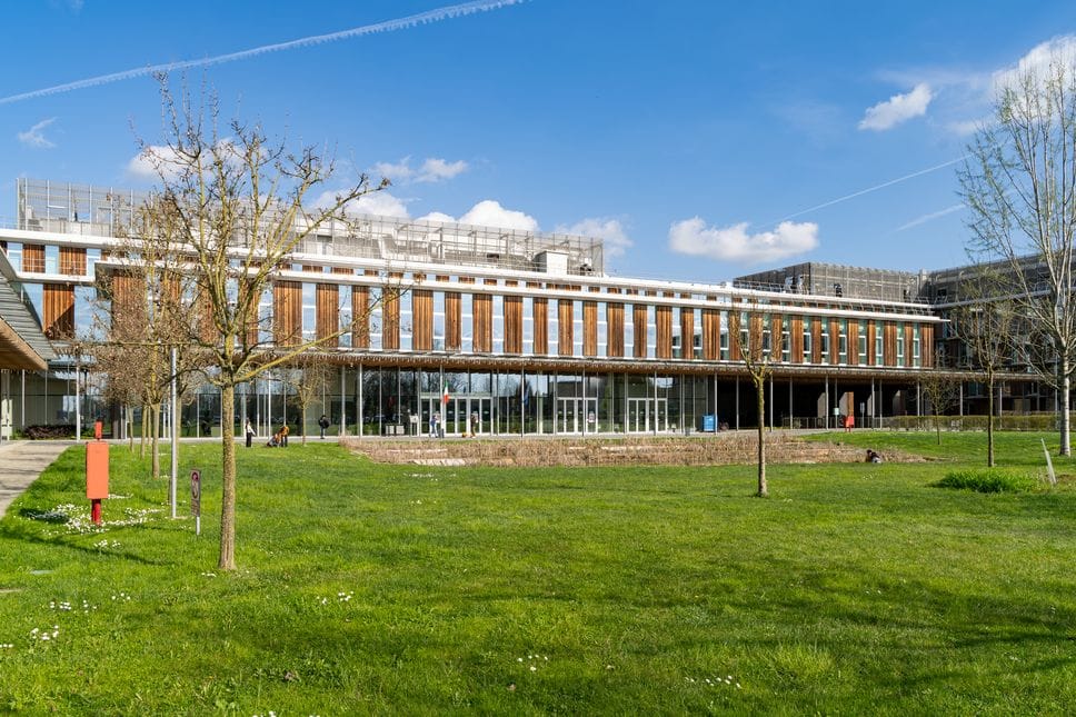 La serie che  racconta l’Università di Veterinaria. La prima puntata: 1300 tra studenti, docenti e tecnici da tutta Italia e dal mondo