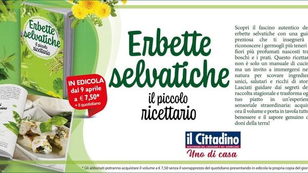 Erbette selvatiche