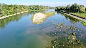 Immagine per 9f1aaef0-194a-11f1-a78a-446ca24d452b