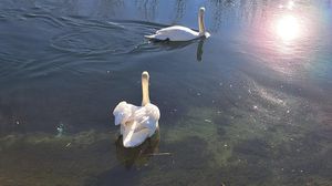 7c462ba6-1b21-11f1-a37d-4ee31162084c