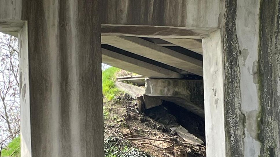 Il punto della tangenziale al centro della segnalazione