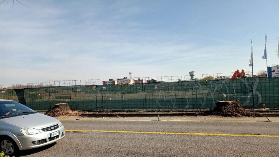 MELEGNANO - LA DENUNCIA «Ancora non riusciamo a renderci conto di quanto siano importanti gli alberi» 