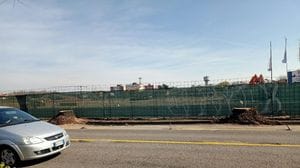 MELEGNANO - LA DENUNCIA «Ancora non riusciamo a renderci conto di quanto siano importanti gli alberi» 