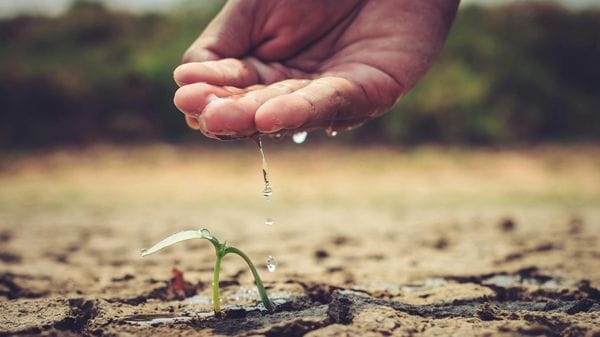 Allarme siccità per i nostri campi, riserve idriche in calo a marzo