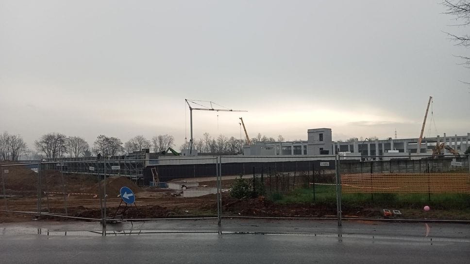 Paullo, 500mila euro per la rinascita del bosco di San Pedrino