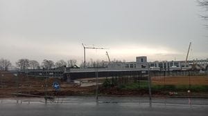 Paullo, 500mila euro per la rinascita del bosco di San Pedrino