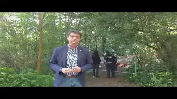 Melegnano, il crollo degli alberi in città: intervista al vice sindaco