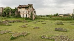 Cultura classica, fascino immortale
