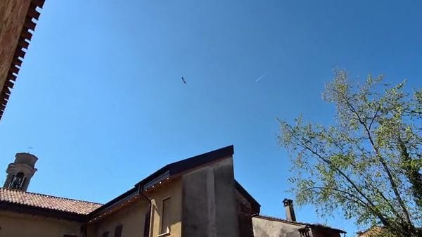 Le cicogne sulla chiesa di Maleo