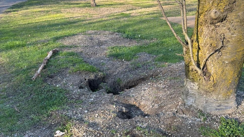 Le buche nella Piana dei Giganti (Cuti)