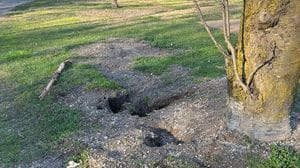 Le buche nella Piana dei Giganti (Cuti)