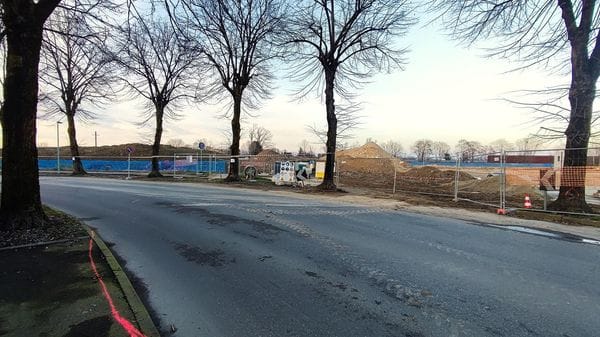  PAULLO  «Il bosco non c’è più, 4 ettari di verde spazzati via»