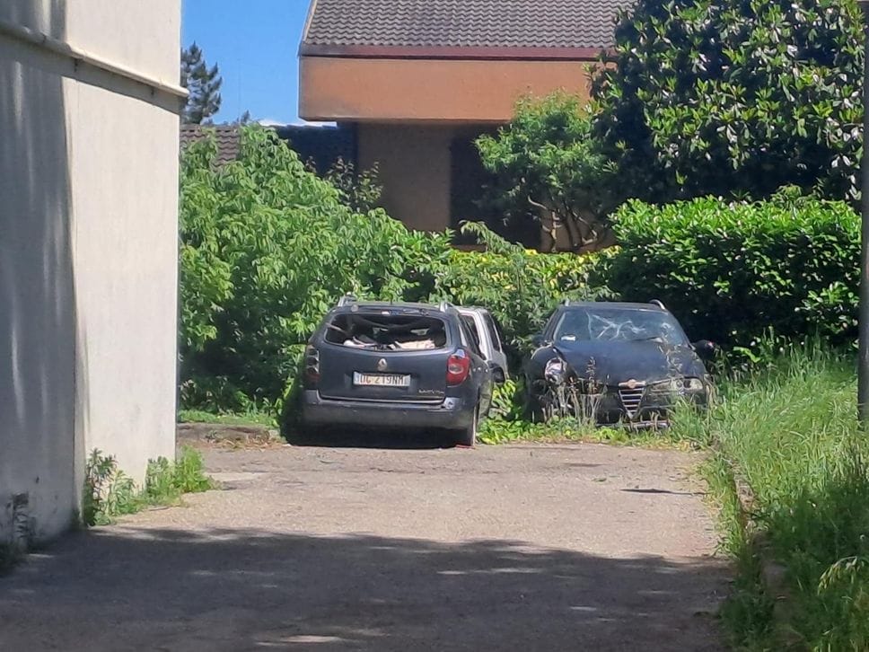Codogno: «Nonostante gli Aler’s Angels non è cambiato nulla»