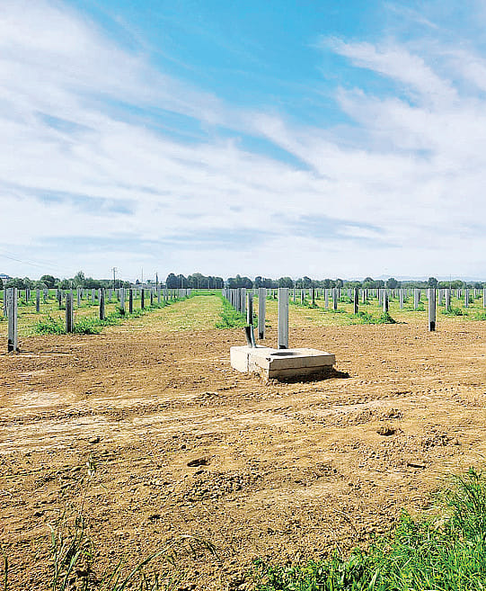 Nuovo campo agrivoltaico a Santa Maria del Toro
