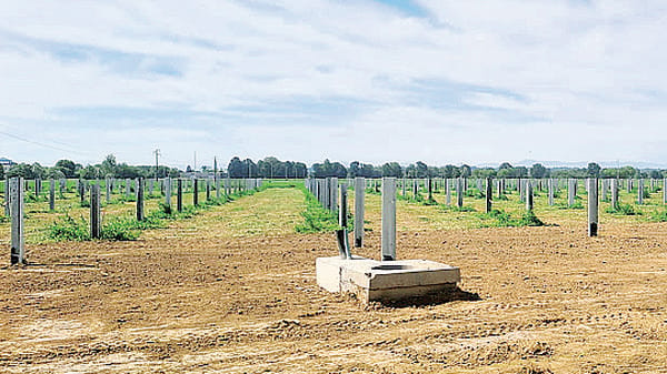 Nuovo campo agrivoltaico a Santa Maria del Toro
