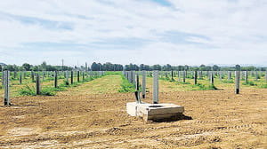 Nuovo campo agrivoltaico a Santa Maria del Toro