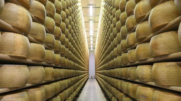 Un milione alla Santangiolina per investire sul Grana Padano