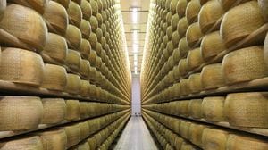 Un milione alla Santangiolina per investire sul Grana Padano