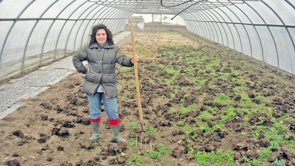 «Aumenta il “bio” nei supermercati ma la strada da fare è ancora tanta»