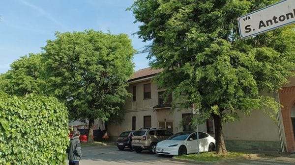 Piante addossate alle facciate delle case, a Zelo la protesta degli abitanti