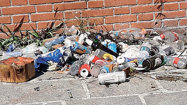 I volontari ripuliscono la fontana  in disuso di piazzale Matteotti a Lodi