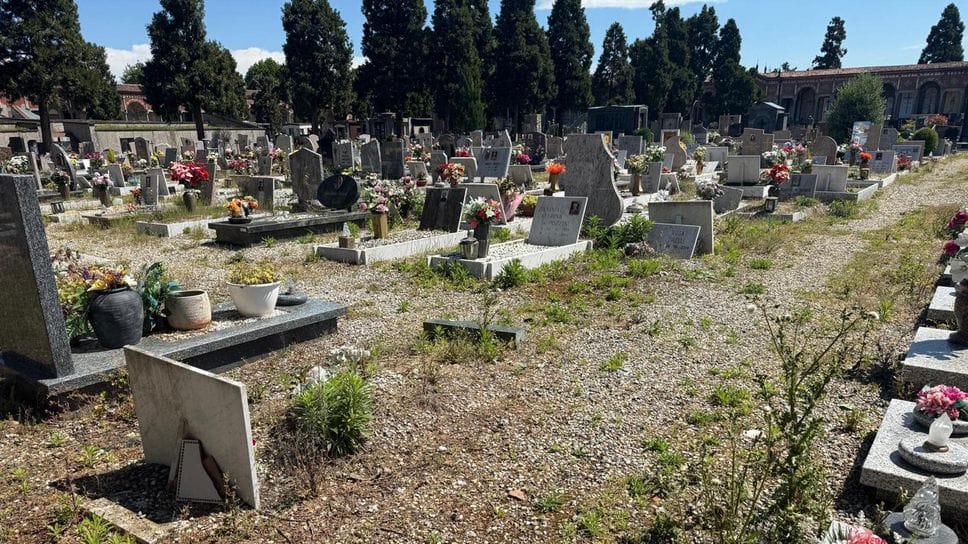 Luci spente e vegetazione infestante tra le lapidi, non c’è fine per il degrado del cimitero a Lodi