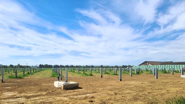 Il fotovoltaico sui campi non si mangia