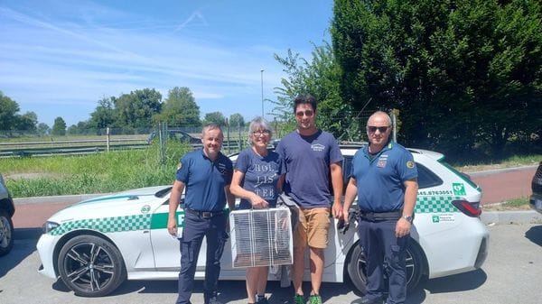 Gli agenti con il gattino messo in salvo