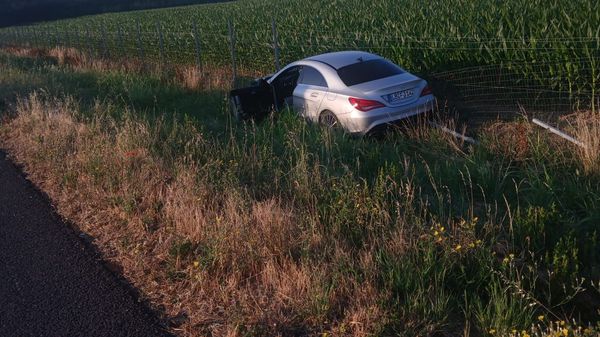 A1: Mercedes vola nel campo