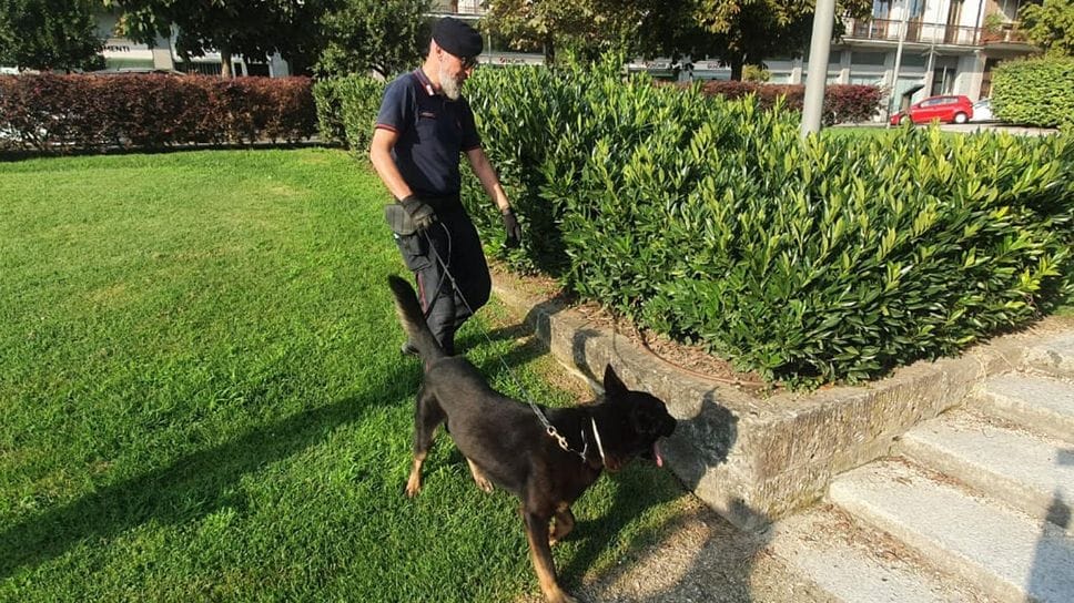 San Donato: anche la polizia locale userà i cani antidroga