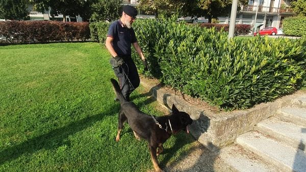 San Donato: anche la polizia locale userà i cani antidroga