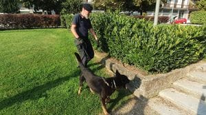 San Donato: anche la polizia locale userà i cani antidroga