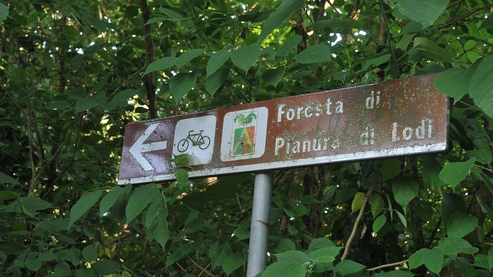 I sindaci lodigiani bussino alla Regione per aree verdi e riforestazione