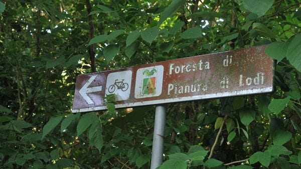 I sindaci lodigiani bussino alla Regione per aree verdi e riforestazione