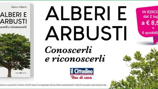 Alberi e arbusti