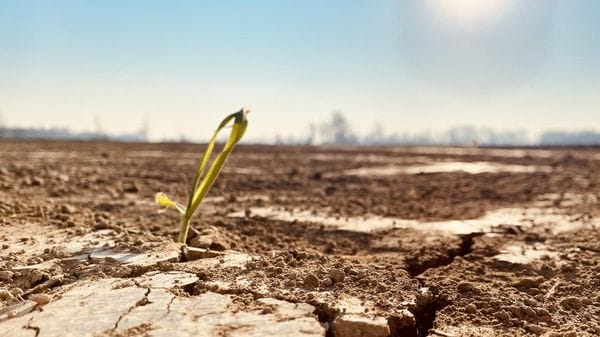I campi sono assetati per il gran caldo, sale la preoccupazione per le colture