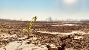 I campi sono assetati per il gran caldo, sale la preoccupazione per le colture