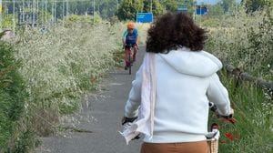 Erba alta e arbusti su aiuole e lungo strade e ciclabili sono un pericolo