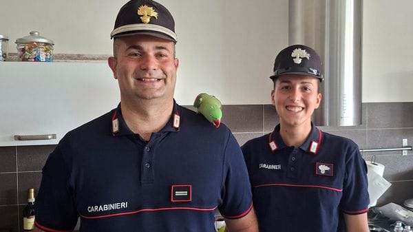 Lodi: i carabinieri forestali riportano a casa il pappagallo Tea, spaventato dai temporali