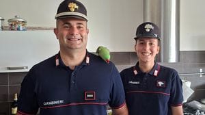 Lodi: i carabinieri forestali riportano a casa il pappagallo Tea, spaventato dai temporali