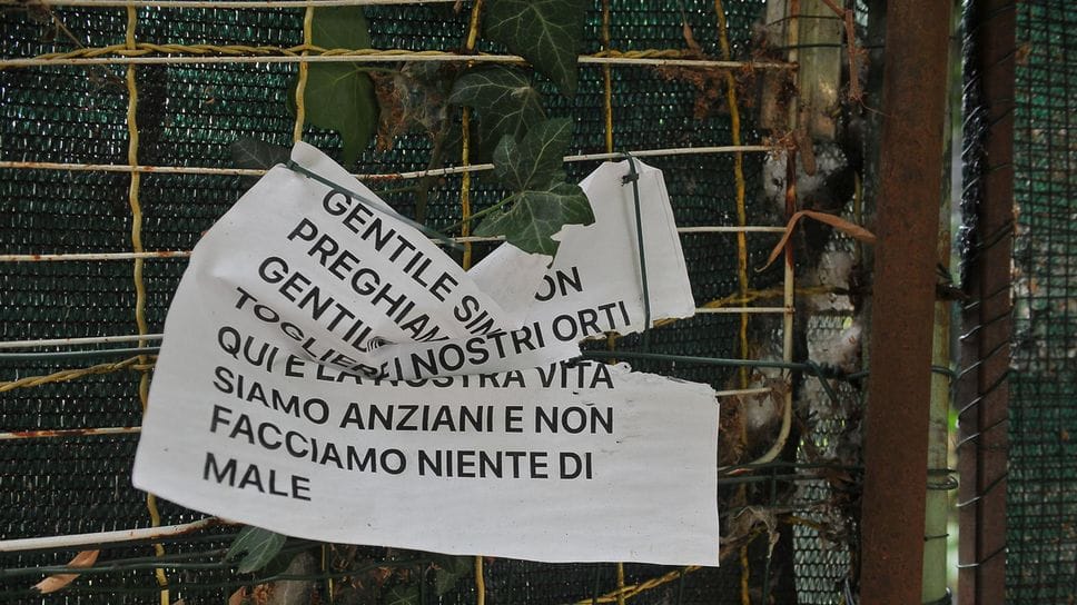 Orti abusivi di via Piermarini, è scaduta anche la seconda ordinanza: dopo il sopralluogo scattano le demolizioni