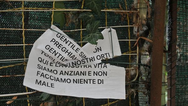 Orti abusivi di via Piermarini, è scaduta anche la seconda ordinanza: dopo il sopralluogo scattano le demolizioni