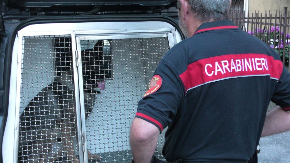 Sgominati i “delivery” della droga: tre misure cautelari per un giro d’affari da 160mila euro al mese