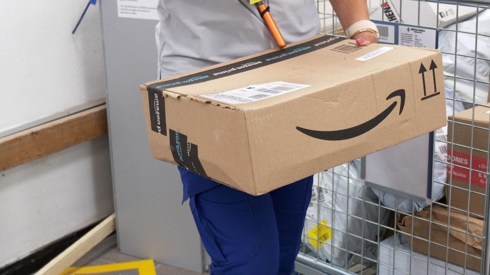 Successo per l’e-commerce nel Lodigiano, in un anno le consegne aumentate del 56% VIDEO