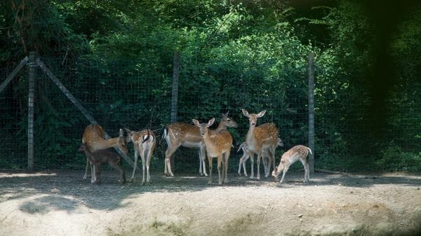 La seconda vita del Parco ittico