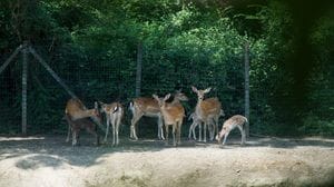 La seconda vita del Parco ittico