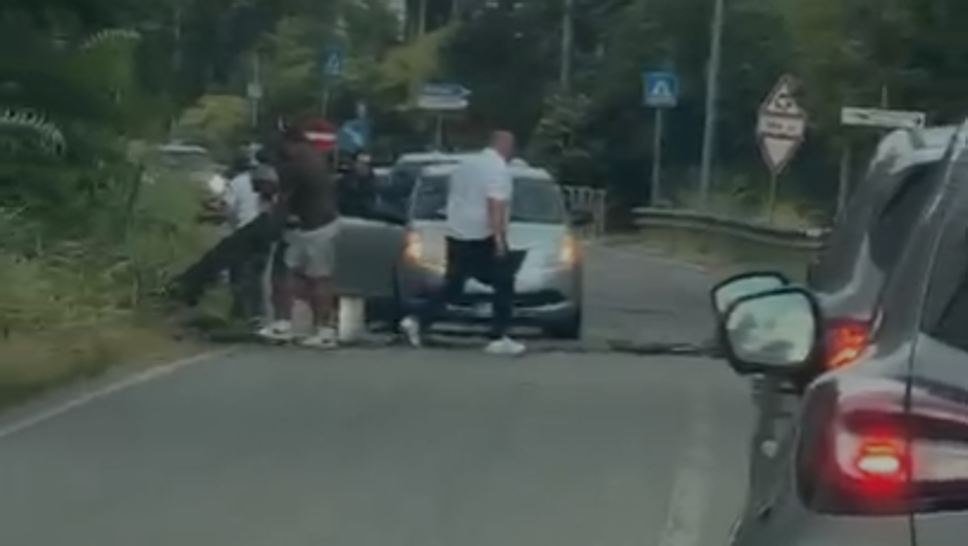 Forti raffiche di vento, alberi a terra e numerose chiamate ai vigili del fuoco